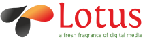 website development