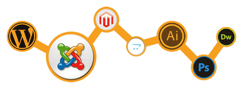 Website Development